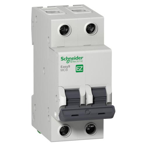 INTERRUP TERMOMAG 2X63A SCHNEIDER