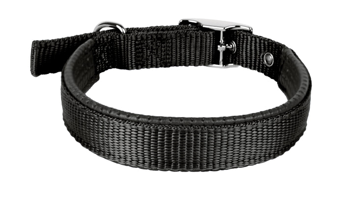COLLAR PARA MASCOTA TALLA M COLORES SURTIDOS AKSI